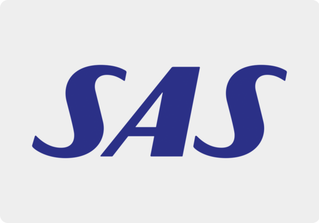 BARIN - SAS logo